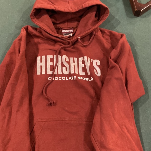 Vintage 90s Hersheys Chocolate World Hoodie Brown Size S - Picture 4 of 5